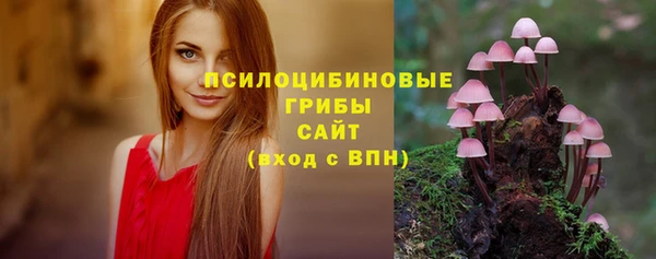 эйфоретик Алексин