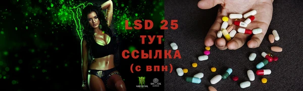 ГАЛЛЮЦИНОГЕННЫЕ ГРИБЫ Алексеевка