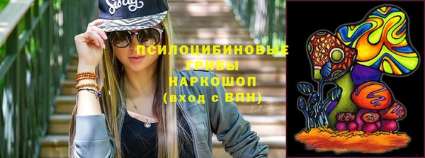 прущая мука Алзамай